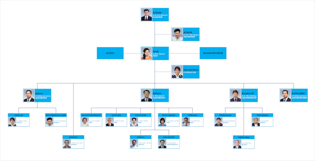 administrators organization chart